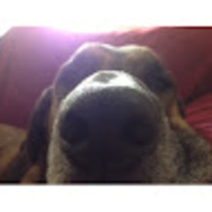 Meet your Posher, Carlos